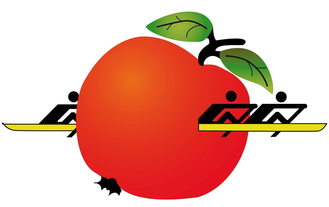 Logo RVS